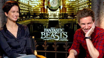 Fantastic Beasts and Where To Find Them