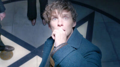 Fantastic Beasts and Where to Find Them