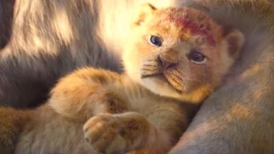 The Lion King