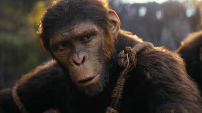 Kingdom of the Planet of the Apes