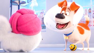 The Secret Life of Pets 2