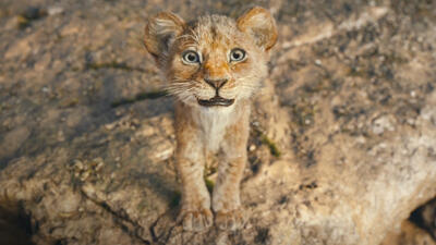Mufasa: The Lion King