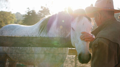The Cowboy and the Queen
