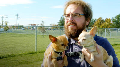 AJ Goes to the Dog Park