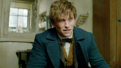 Fantastic Beasts and Where to Find Them
