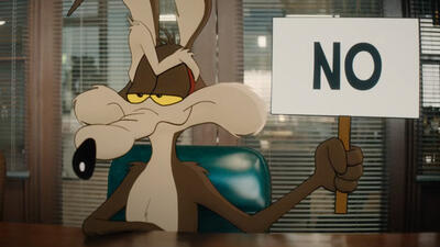 Coyote vs. Acme