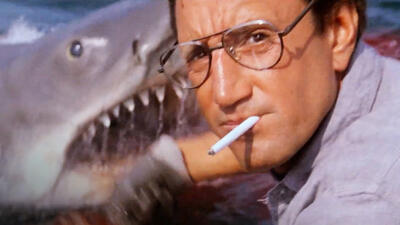 Jaws