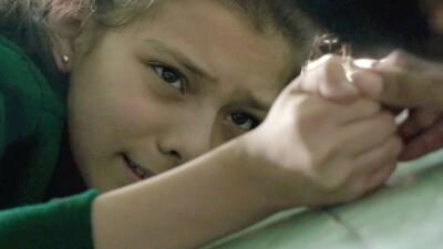 Tigers Are Not Afraid