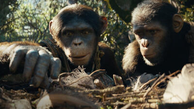 Kingdom of the Planet of the Apes