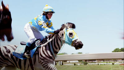 Racing Stripes