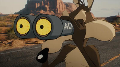 Coyote vs. Acme