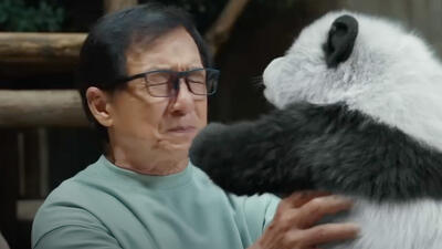 Panda Plan