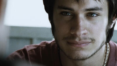 Amores perros