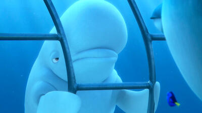 Finding Dory