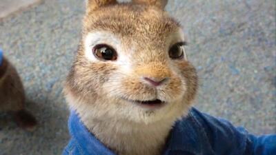 Peter Rabbit 2: The Runaway