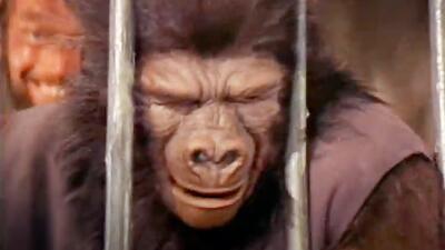 Planet of the Apes