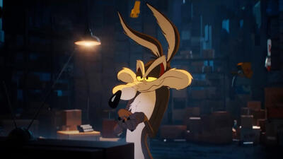 Coyote vs. Acme