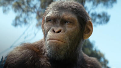 Kingdom of the Planet of the Apes