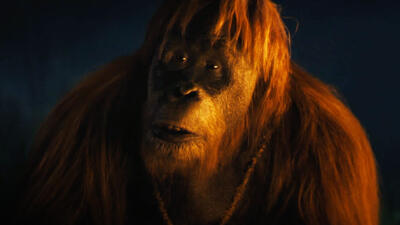 Kingdom of the Planet of the Apes