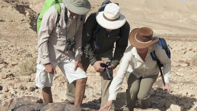 Patterns of Evidence: Journey to Mount Sinai II