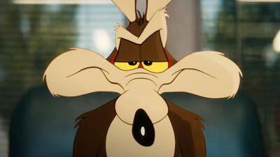 Coyote vs. Acme