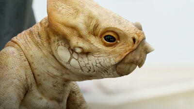 Jurassic World Rebirth