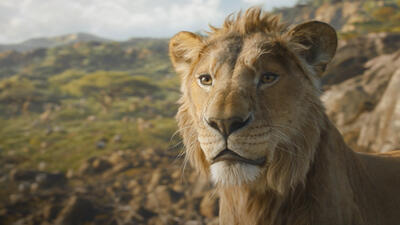 Mufasa: The Lion King