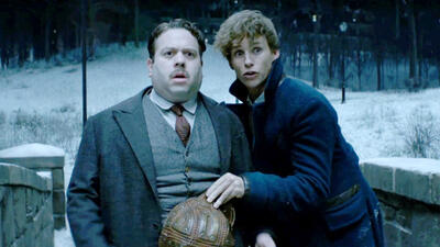 Fantastic Beasts and Where to Find Them
