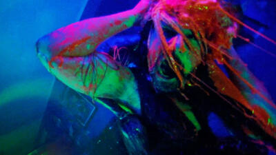 Eli Roth Presents: Jimmy and Stiggs