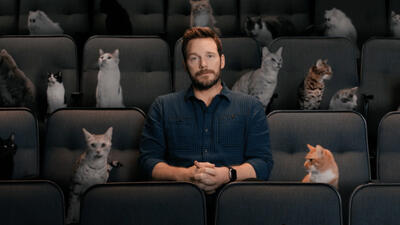The Garfield Movie