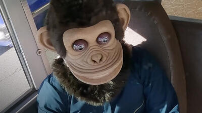 The Monkey