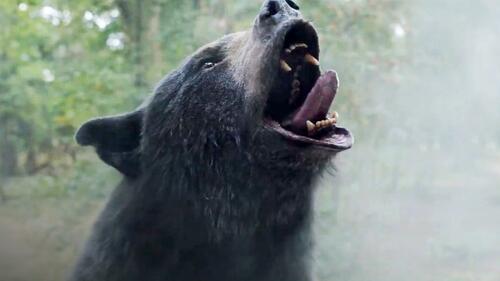 The Hunt for the Infamous Cocaine Bear: Showtimes and Updates!