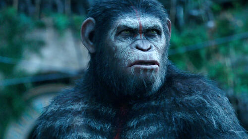Dawn of the Planet of the Apes