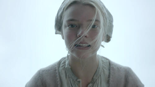 Watch the witch 2016 online free best sale
