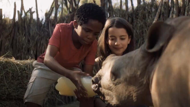 Thabo and the Rhino Case