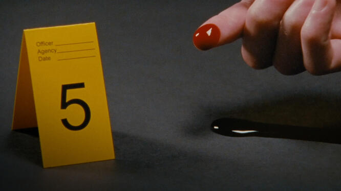 Zodiac Killer Project