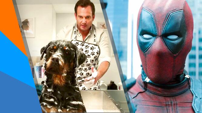 Weekend Ticket: Show Dogs, Deadpool 2