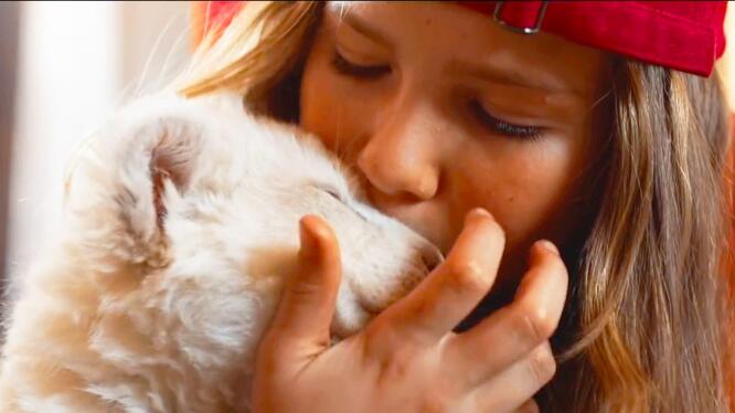 Mia and the White Lion