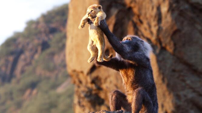 The Lion King