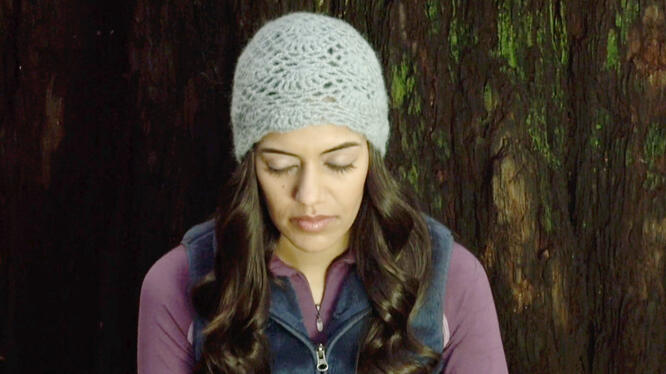 The Wisdom Tree