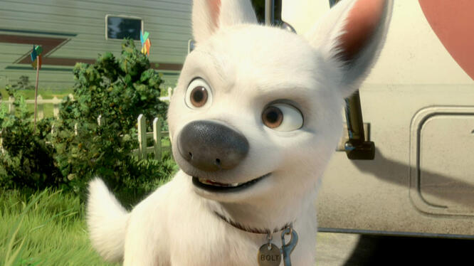 Bolt