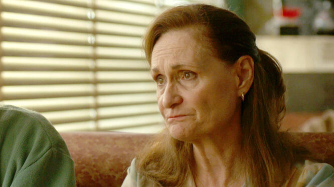 Faults