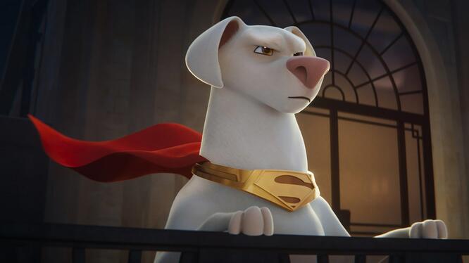 DC League of Super-Pets