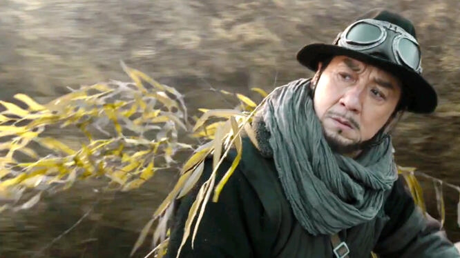 Railroad Tigers