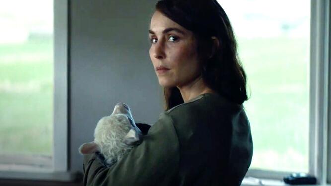 Lamb