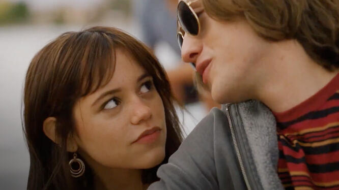 Winter Spring Summer or Fall