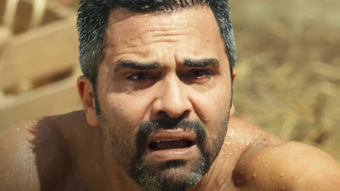 Colao 2