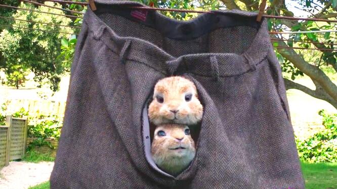 Peter Rabbit