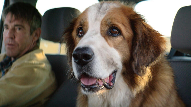 A Dog's Purpose