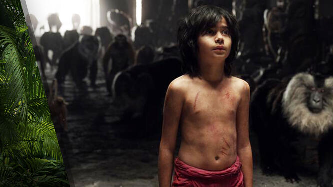 The Jungle Book